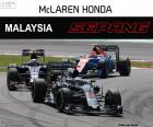 Fernando Alonso, yedinci yılında Malezya Grand Prix 2016, onun McLaren ile
